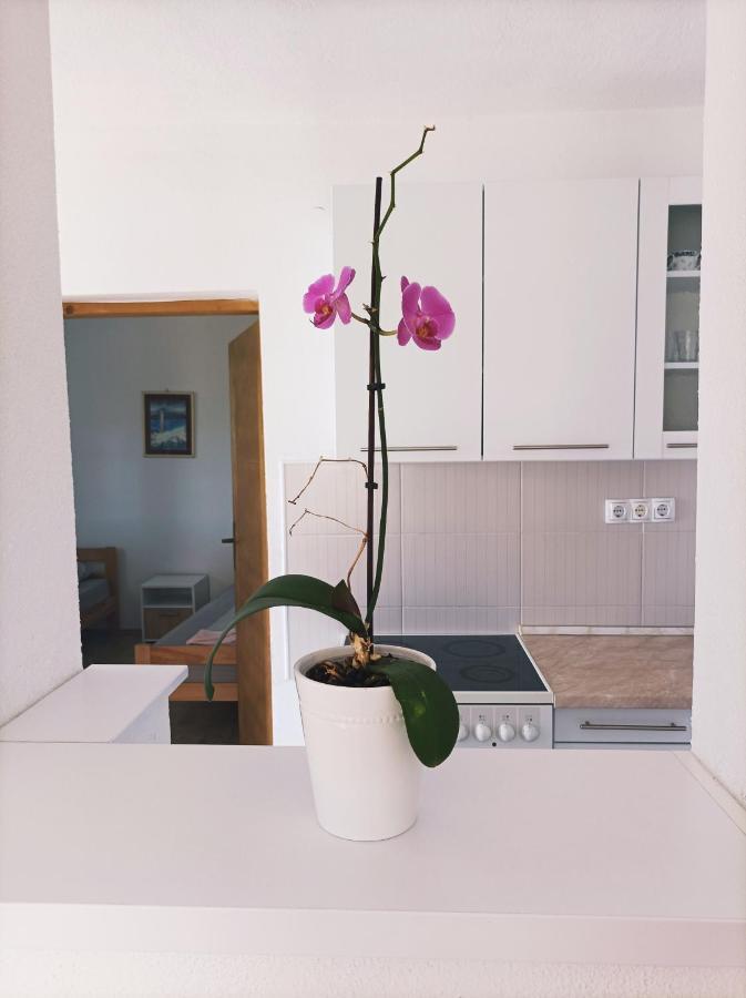Dina Apartman Jablanicko Jezero Кониц Экстерьер фото