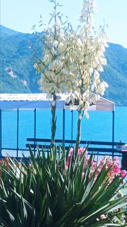 Dina Apartman Jablanicko Jezero Кониц Экстерьер фото