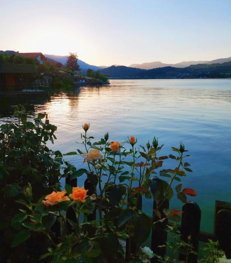 Dina Apartman Jablanicko Jezero Кониц Экстерьер фото