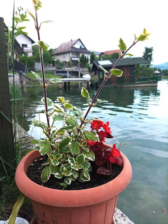 Dina Apartman Jablanicko Jezero Кониц Экстерьер фото