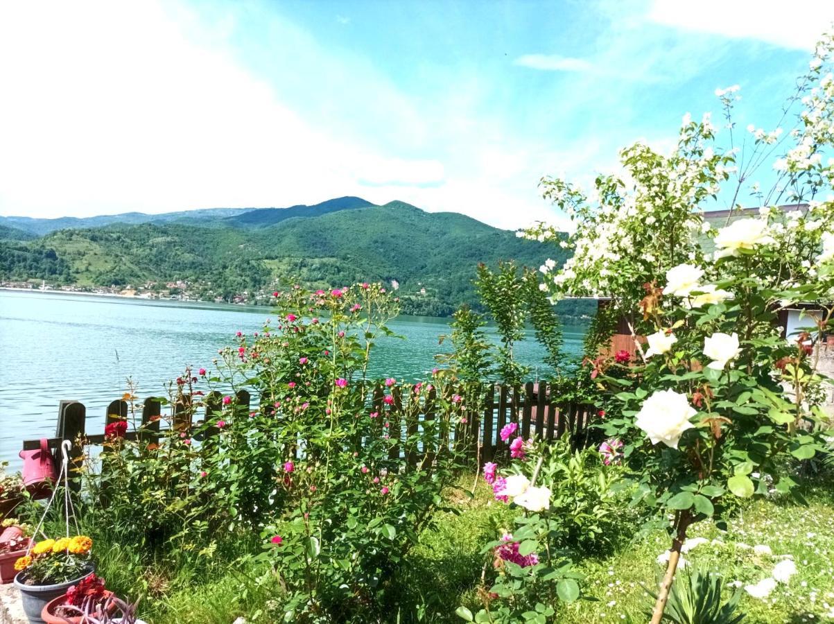 Dina Apartman Jablanicko Jezero Кониц Экстерьер фото