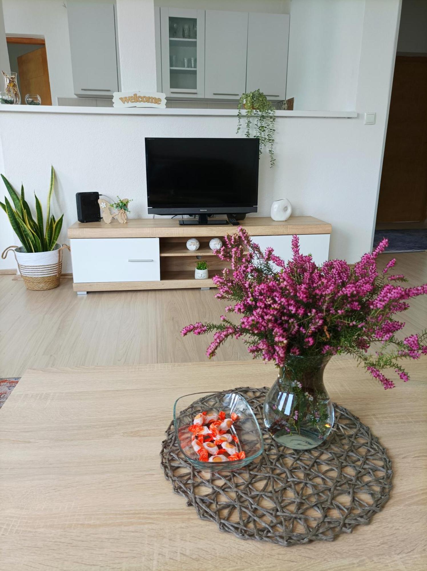 Dina Apartman Jablanicko Jezero Кониц Экстерьер фото